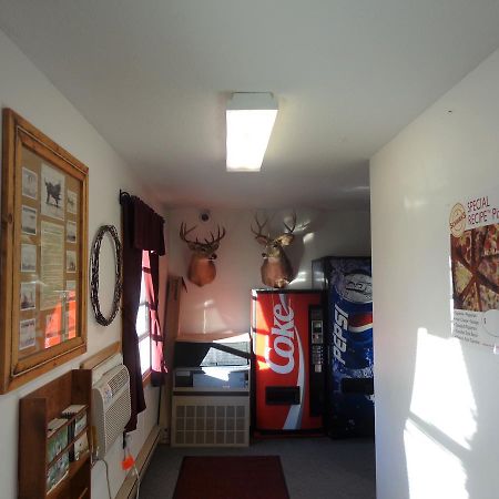 Tipperary Lodge Buffalo Bagian luar foto